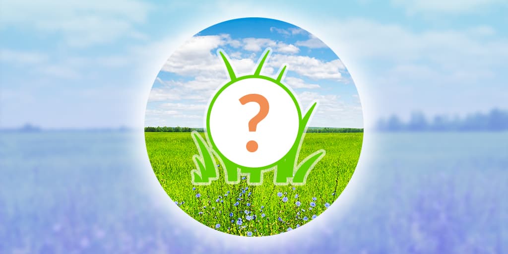 Swinub Spotlight Hour - June 18, 2026