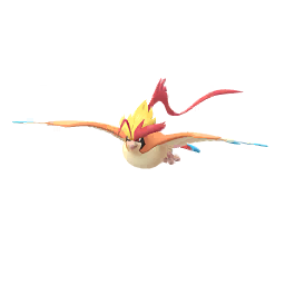 Mega Pidgeot