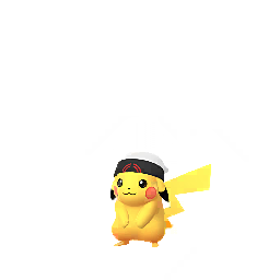 Brendan's Hat Pikachu