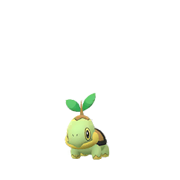 Turtwig