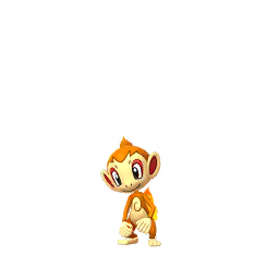 Chimchar