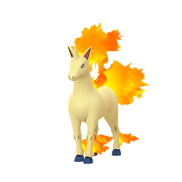 Rapidash